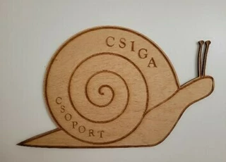 Csiga csoport